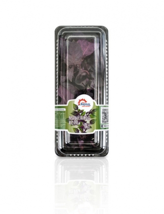 Manjericão Roxo 30g