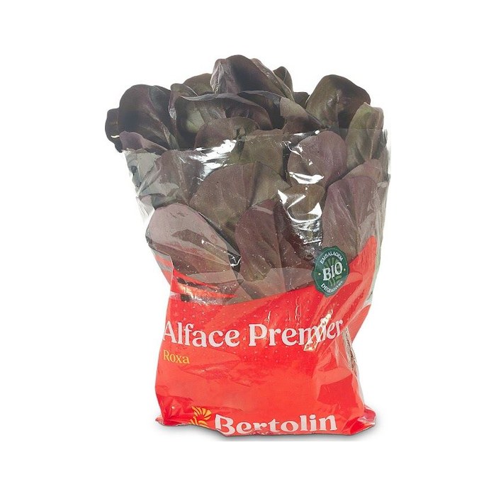 Alface Premier Roxa